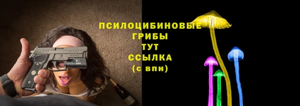 прущая мука Алзамай
